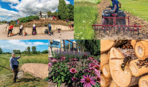 Sigtuna golfklubb