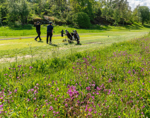 Sigtuna golfklubb Ola Jennersten