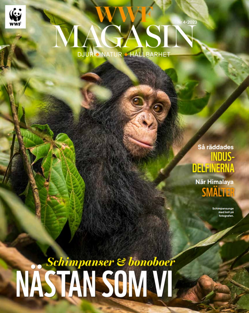WWF Magasin 4-23 WWF Magasin 4-23