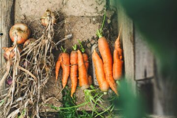 markus-spiske-I-iuvRW2iyM-unsplash (1)