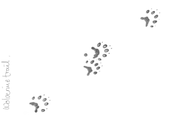 Original_WW1321619[1]