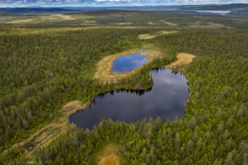 Jielkká-Rijmagåbbå som är fjällnära skyddad skog. Fotograf: Ola Jennersten Jielkká-Rijmagåbbå som är fjällnära skyddad skog. Fotograf: Ola Jennersten