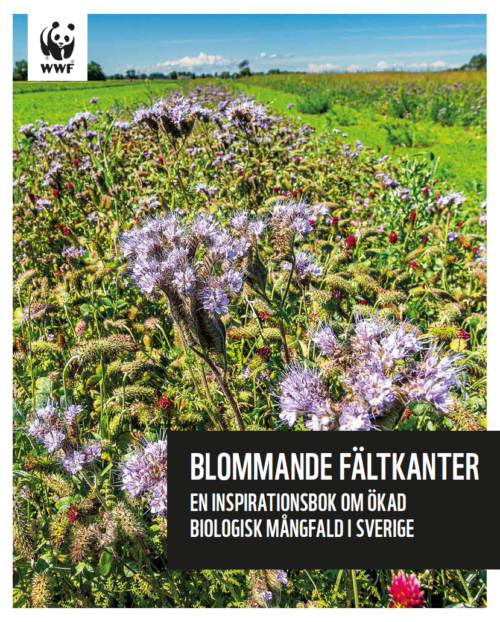 Blommande fältkanter