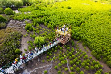 DJI_0033–Eko2-24