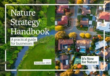 Now for Nature - Nature strategy Handbook