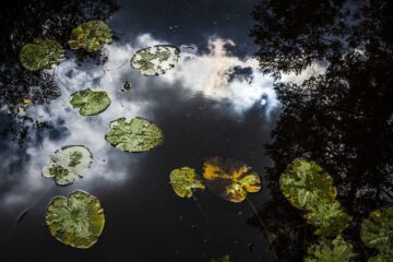 SV_MK_Roadtrip_2017-08-28_0521.o╠êrebro-Eko2-24