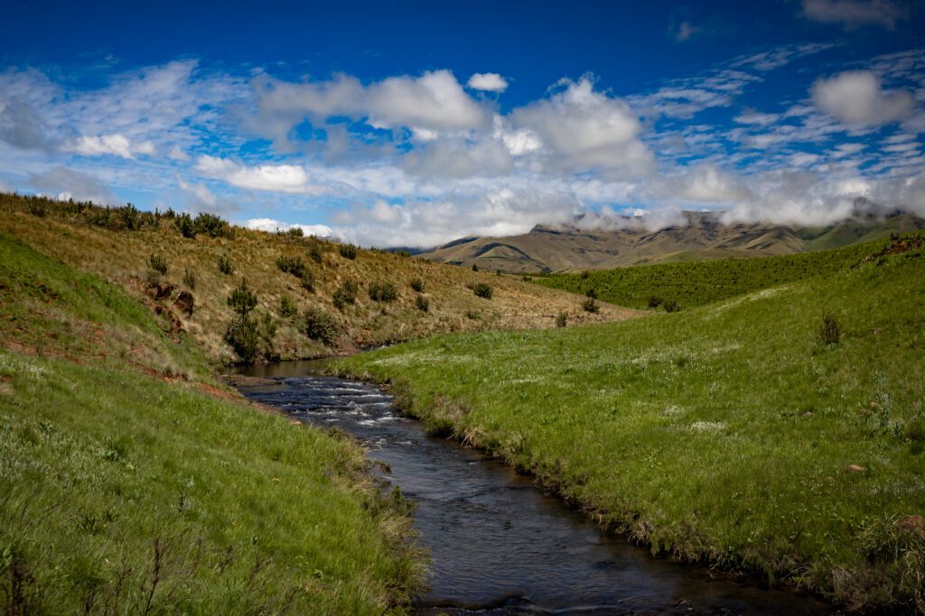 Strategic water source Area in Eastern Cape Grasslands South Africa