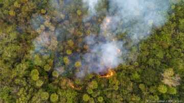Fires in the state of Mato Grosso do Sul, Brazil. 2020.