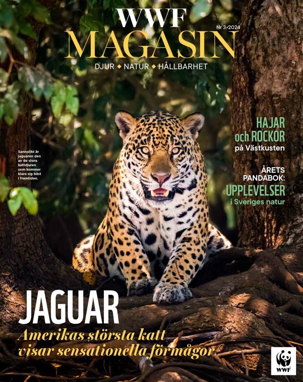 WWF Magasin 3-24-1 WWF Magasin 3-24-1