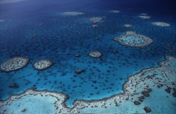 Corals (Corals); Great Barrier Reef Marine Park, Queensland, Australia.