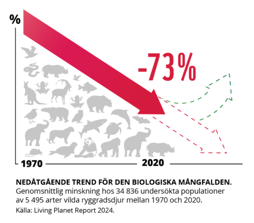 En graf som visar den nedåtgående trenden för den biologiska mångfalden.