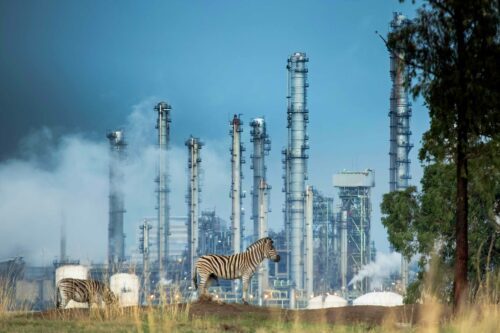 ©Naturepl.com Paul Williams WWF