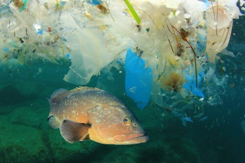 En fisk simmar under vatten bland mycket plastskräp, vilket illustrerar miljöförorening i havet.