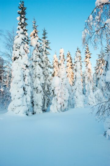 Swedish winter