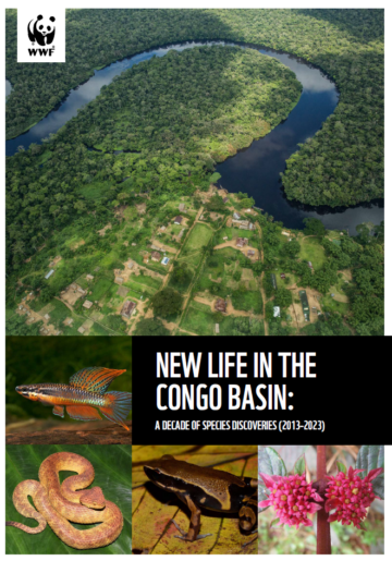 Congon Basin 2024 Flygbild över Kongobäckenets frodiga skogar och slingrande floder, med texten "New Life in the Congo Basin: A Decade of Species Discoveries (2010-2020)" i vita bokstäver på svart bakgrund.