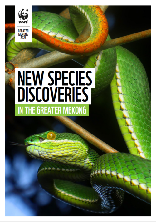 Mekong 2024 Omslag med rubriken "New Species Discoveries in the Greater Mekong" och bilden av en grön orm med gulvita markeringar som slingrar sig runt en gren.