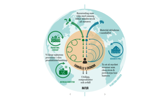 orginalfil-Earth-system-circular-economy_v4-SVE-feb2025-(1)_AN-(1)