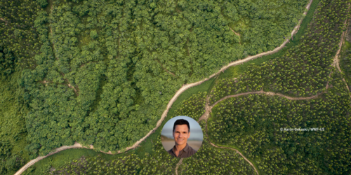 Aaron Gekoski / WWF-US