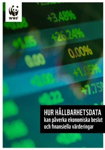 Framsida rapport 2025-04-27 191507 Omslagsbild till en rapport. Bilden visar gröna och gula siffror på en skärm, liknande börsdata. Texten längst ner till höger lyder: "Hur hållbarhetsdata kan påverka ekonomiska beslut och finansiella värderingar". WWF logotyp syns i övre vänstra hörnet.
