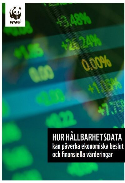 Framsida rapport 2025-04-27 191507 Omslagsbild till en rapport. Bilden visar gröna och gula siffror på en skärm, liknande börsdata. Texten längst ner till höger lyder: "Hur hållbarhetsdata kan påverka ekonomiska beslut och finansiella värderingar". WWF logotyp syns i övre vänstra hörnet.