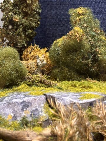 Miniatyrmodell av ett skogslandskap med en liten lodjursfigur gömd bland mossklädda buskar och stenar.