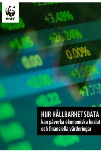 Omslagsbild till en rapport: Gröna och gula siffror på en skärm som visar aktiekurser. Texten längst ner lyder: "Hur hållbarhetsdata kan påverka ekonomiska beslut och finansiella värderingar.". I övre vänstra hörnet syns WWFlogotypen.