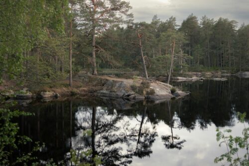 I bilden syns skog och klippor vid vatten.