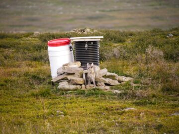 En fjällräv sitter på en stenig mark nära en liten konstruktion med en vit tunna och en trälåda, omgiven av gräs och fjällandskap.