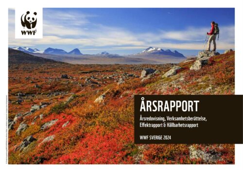 Omslag av en årsrapport med ett färgglatt fjällandskap. Texten på bilden lyder: "Årsrapport. Årsredovisning, Verksamhetsberättelse, Effektrapport & Hållbarhetsrapport. WWF Sverige 2024."