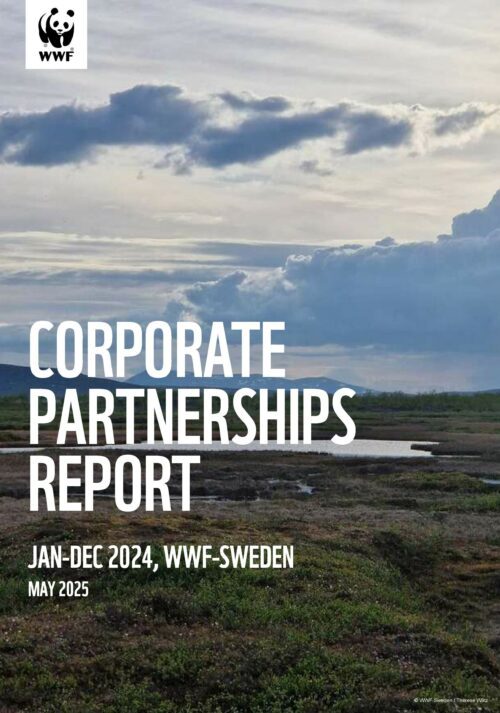 Texten "Corporate Partnerships Report Jan-Dec 2024, WWF-Sweden May 2025" står mot en bild av ett öppet landskap med grönska, vatten och molnig himmel.