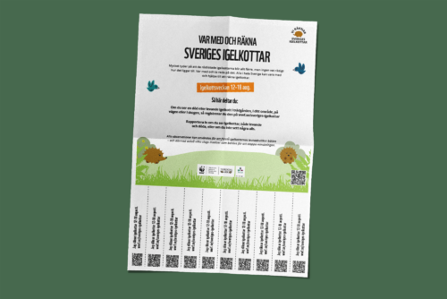 Flyer med information om Igelkottsveckan 2025