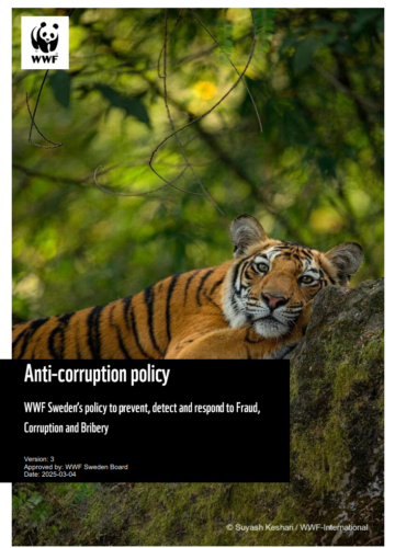 Antikorruptionspolicy 2025 Omslagsbild till ett dokument. Bilden visar en tiger ligger på en tjock trädgren med grönskande bakgrund; texten nedanför lyder: "Anti-corruption policy. WWF Sweden's policy to prevent, detect and respond to Fraud, Corruption and Bribery.