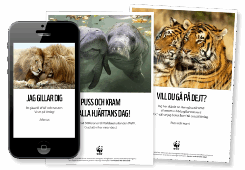 Två tryckta gåvokort och ett digitalt gåvokort som visas i en mobiltelefon