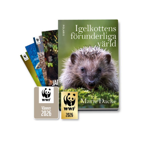En bok med titeln "Igelkottens förunderliga värld" bokomslaget är en närbild av en igelkott, flankerad av flera WWF-medlemskort och magasinnummer med naturmotiv.