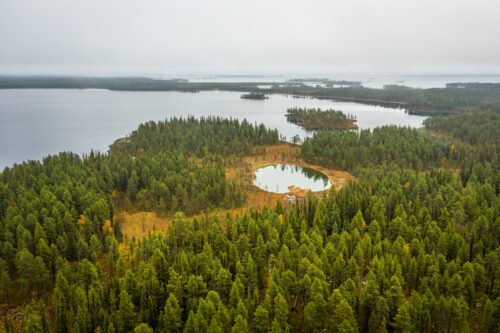 Ett flygfoto av en skog med en liten, rund sjö omgiven av träd och en större sjö i bakgrunden under en mulen himmel.