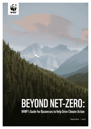 WWF-Beyond Net-Zero cover Bergslandskap med skog i förgrunden och dimmiga bergstoppar i bakgrunden. Texten "BEYOND NET-ZERO WWF's Guide for Businesses to Help Drive Climate Action" står längst ner i bilden.