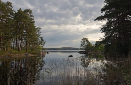 Press trip to Tiveden, a project for sustainable forestry. Sjö i Sverige kantad av skog
