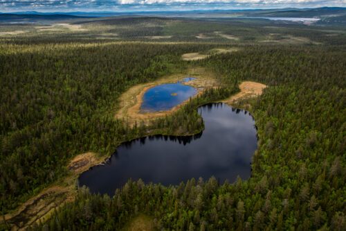 Flygfoto av en skog med två mindre sjöar., © Foto: Ola Jennersten / WWF-Sweden Flygfoto av en skog med två mindre sjöar. Sjöarna är omgivna av tät grönska under en molnfri himmel.