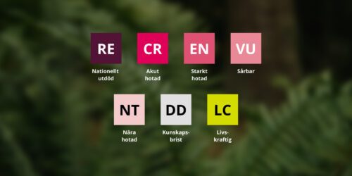 Rödlistans kategorier Rödlistans kategorier