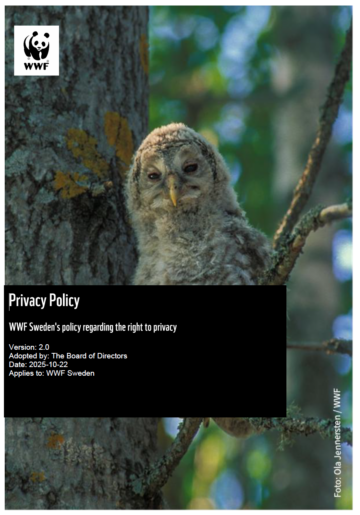WWF Sweden´s Privacy Policy Omslagsbild till dokumentet WWF Sweden Privacy Policy