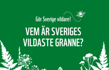 2603 – GSV Gör Sverige vildare 45 Vem är Sveriges vildaste granne?