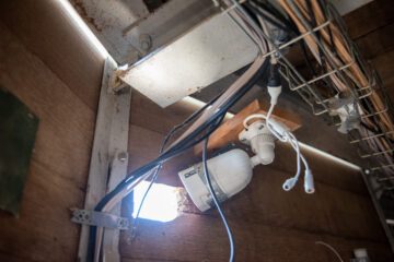 Närbild på en kamera som livesänder sillgrisslornas häckning. Kameran är vit och vinklad mot ett rektangulärt hål i väggen som släpper in solljus.