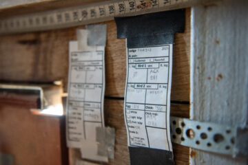 Närbild på papper från sillgrisslornas ringmärkning, där det står information om olika fåglar som märkts.