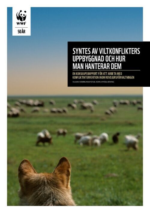 syntes-om-viltkonflikter En hage med får och en hund som tittar ut över hagen