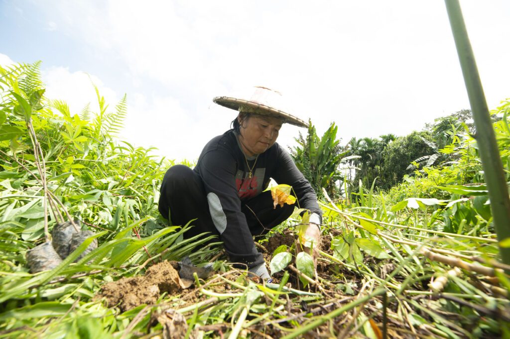 Idae, a resident of the Habangoi village for 61 years