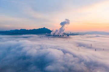 GettyImages-2249685067 91 procent av europeiska företagsledare anser att omställningen till en hållbar ekonomi stärker den långsiktiga konkurrenskraften, visar WWFs nya undersökning. Foto: Getty Images