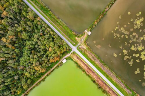 pexels-vladimirsrajber-28603624 WWF utforskar fyra olika vägar mot en hållbar och motståndskraftig ekonomi i ny rapport. Foto: Vladimir Srajber