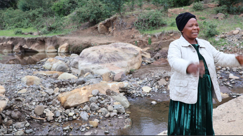 Nothobinceba Phythela, a farmer in the project