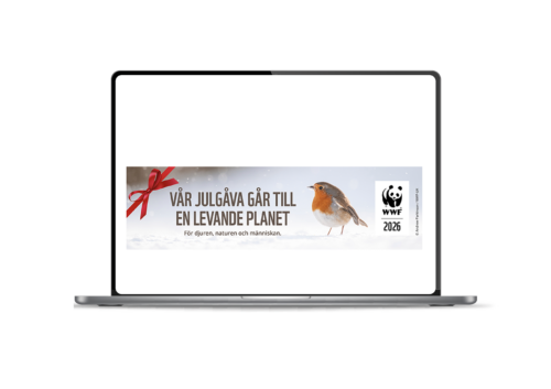 Banner med rosett i ena hörnet och en bild på en domherre samt texten "Vår julgåva går till en levande planet" på en datorskärm.