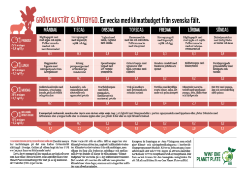 Veckomeny med titeln "GRÖNSAKSTÄT SLÄTTBYGD En vecka med klimatbudget från svenska fält." Vegetariska lunchrätter för varje vardag, baserade på svenska fält. Rätter som "Potatissoppa med persilja", "Spenatlasagne med zucchini" och "Grönkålsgryta med äpple och kanel". Text förklarar matråvarors ursprung och klimatnytta.